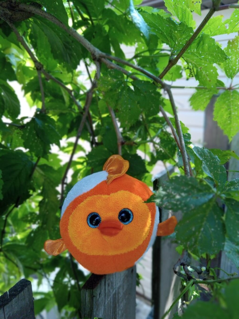 💚2/$15💚 Ty Beanie Ballz "Bubbles" (2012)
